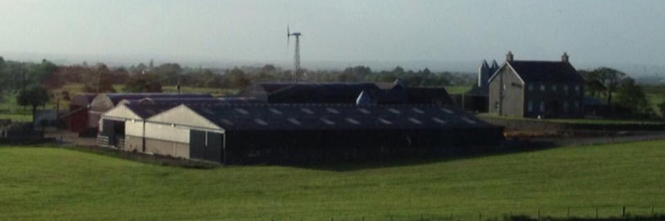 Richard Beattie banner