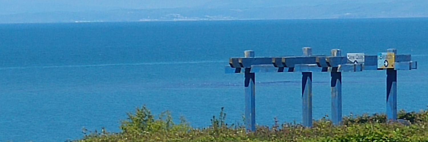 LucyAWeston's profile banner image