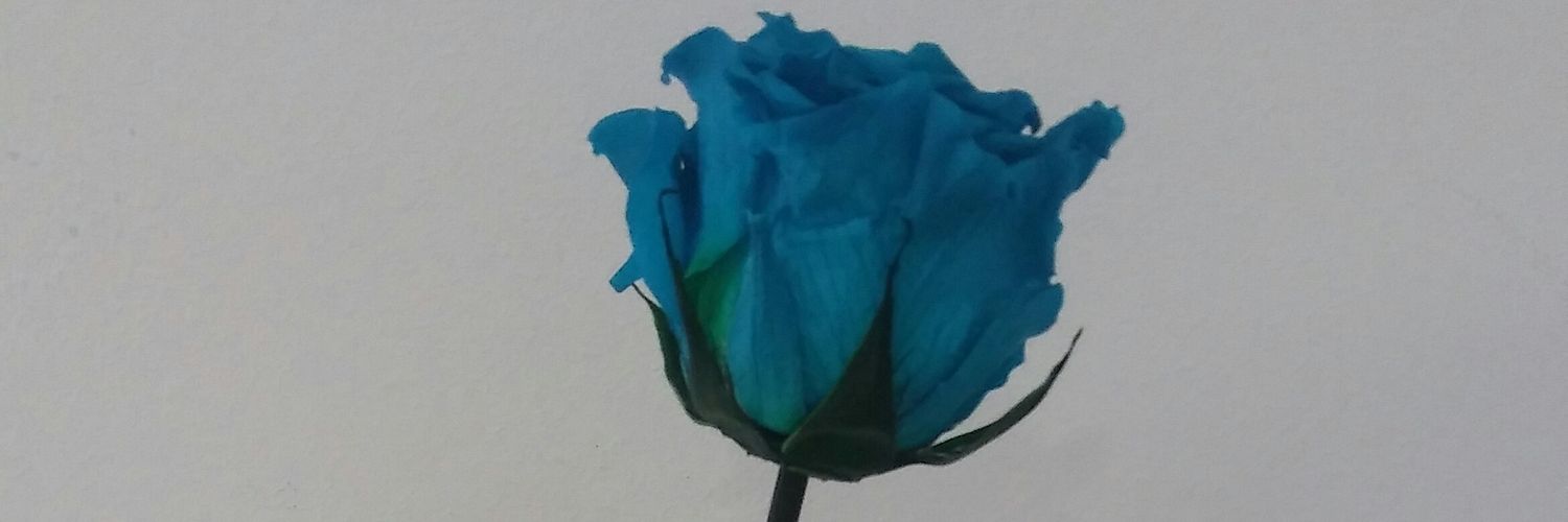 mimu_nt98's profile banner image