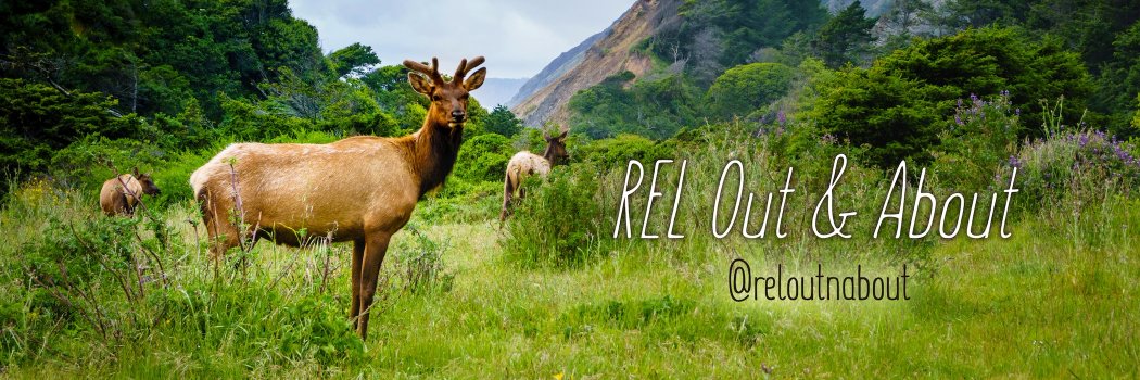 reloutnabout's profile banner image