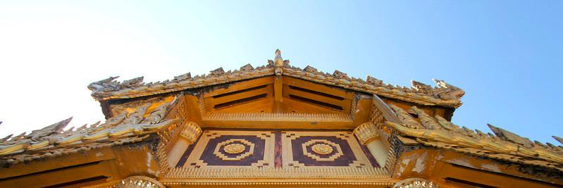 Delaney Larkin banner