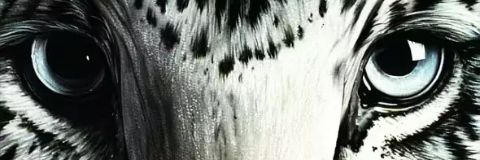 kakodane6's profile banner image