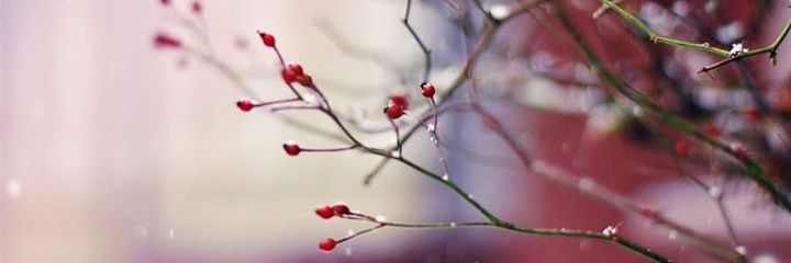 hey_joud's profile banner image