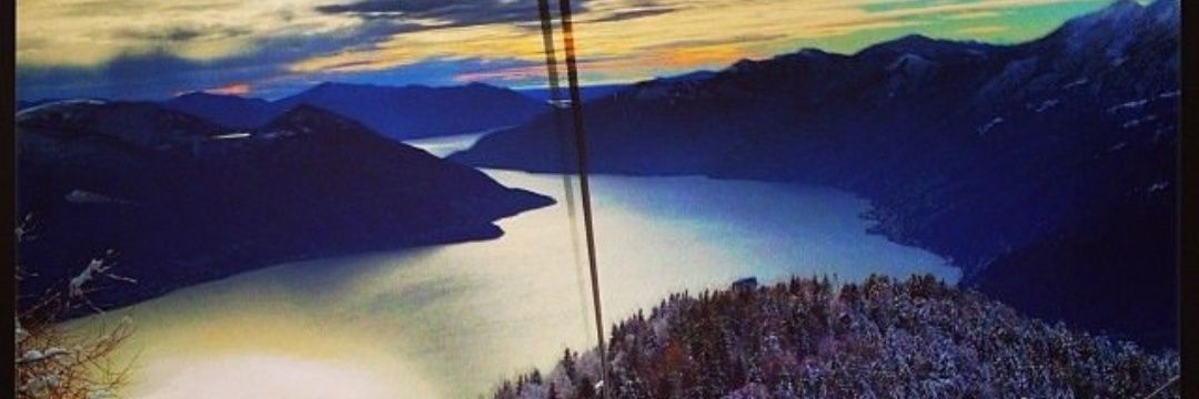Rogatwitt's profile banner image