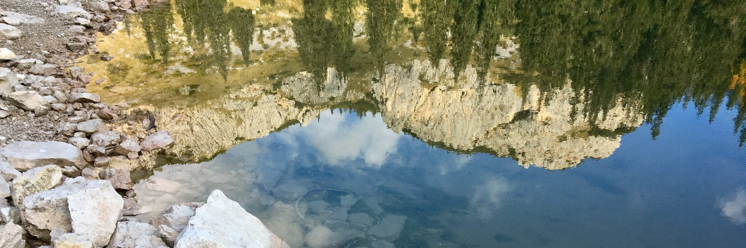 Sabine Wieshuber banner