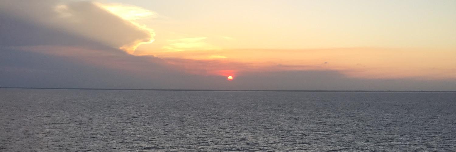 _nick_love_'s profile banner image