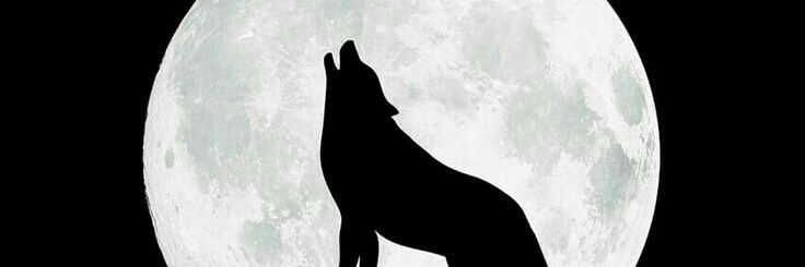 DreamsMyMoon's profile banner image