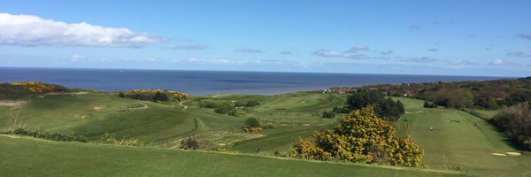 _CarlMann Profile Banner