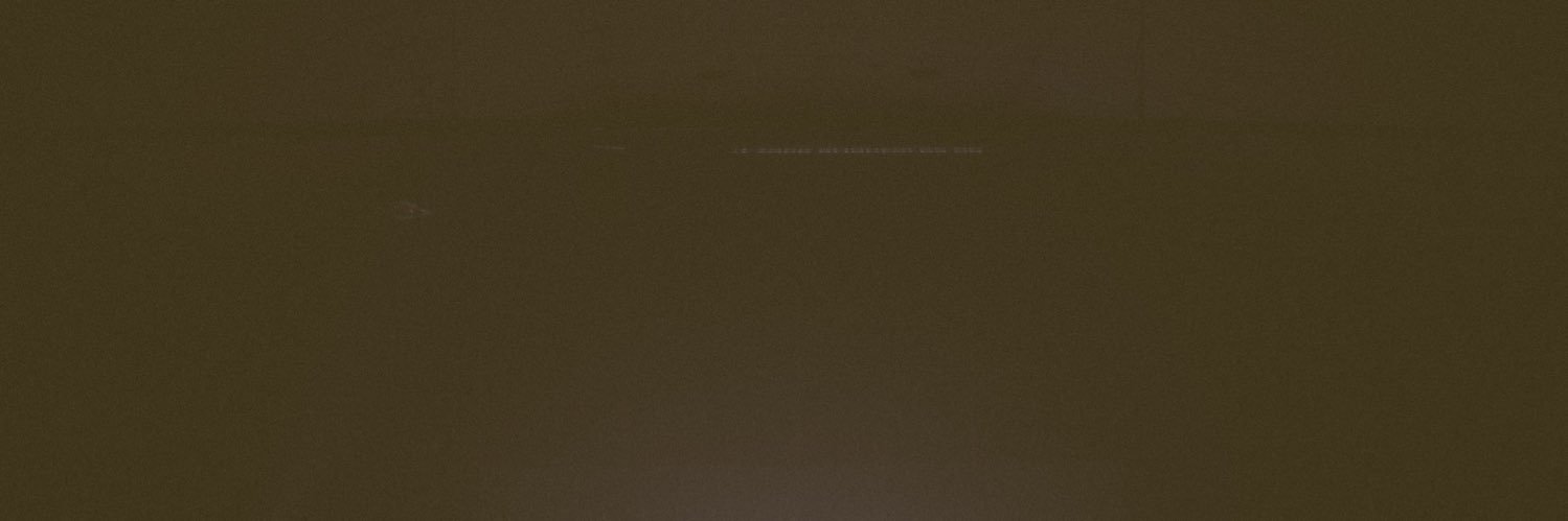 The Trees & The Wild banner