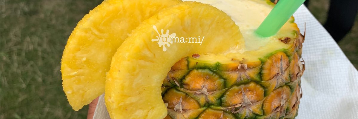 The UMAMI Blog banner
