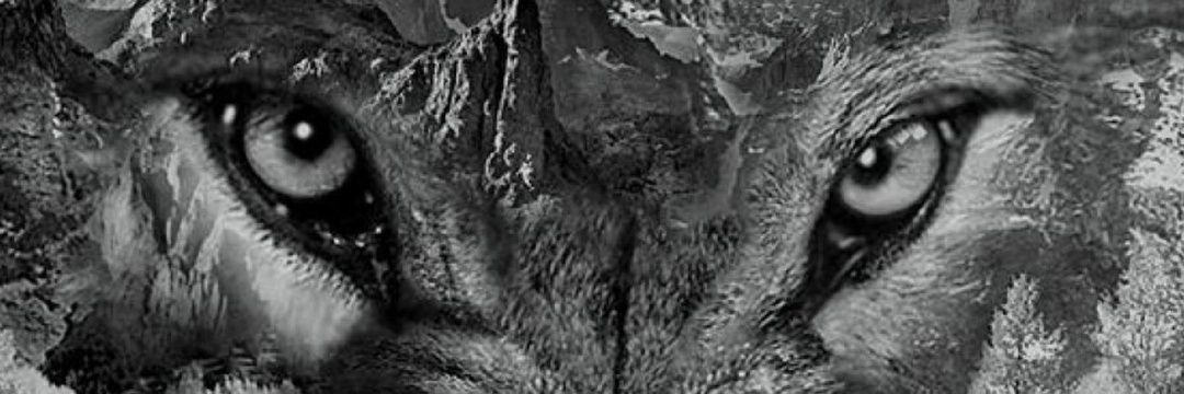 randyalca's profile banner image