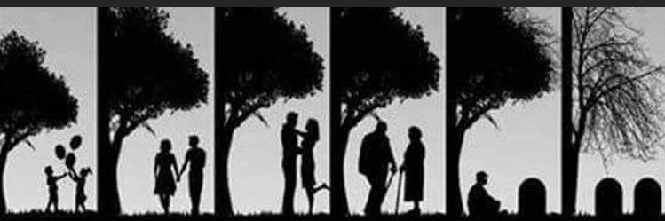 🐧 just Von 😂🥴🤷‍♀️ banner