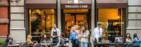 taralluccinyc Profile Banner