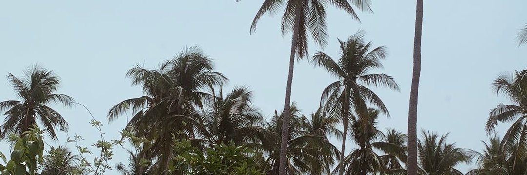 alytapt4p_'s profile banner image