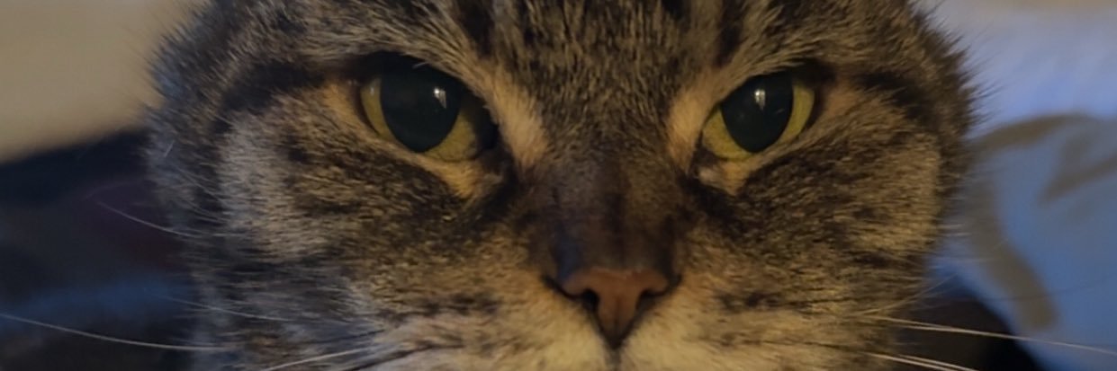Mattstarr15's profile banner image
