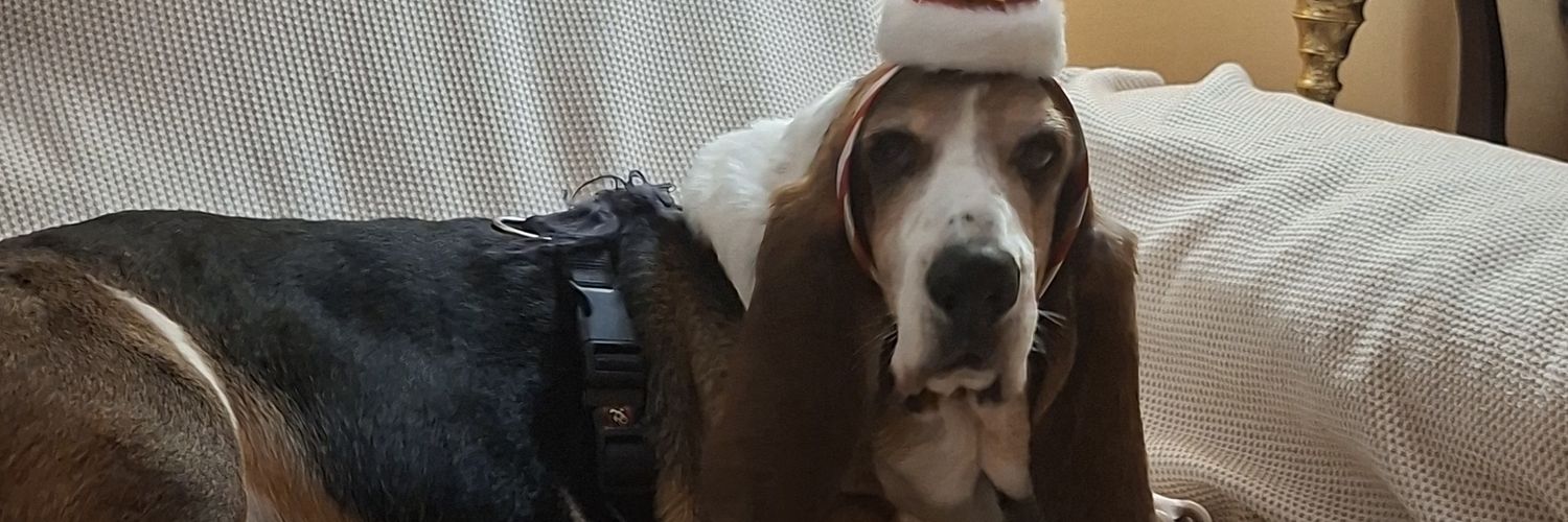 zonadeGuillermo's profile banner image