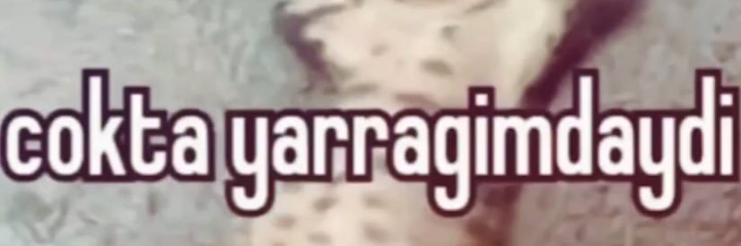 mc yarali ceylan banner