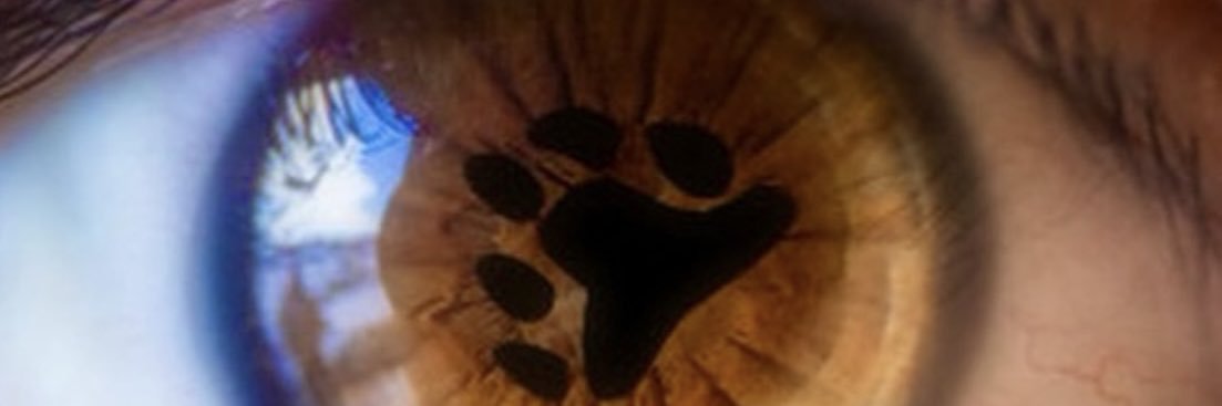 drewciferr's profile banner image
