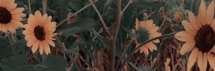 moga_h's profile banner image