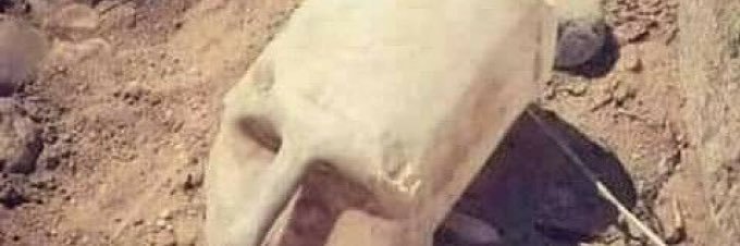 Rolfe_'s profile banner image