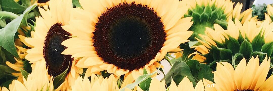 KrizaMarie's profile banner image