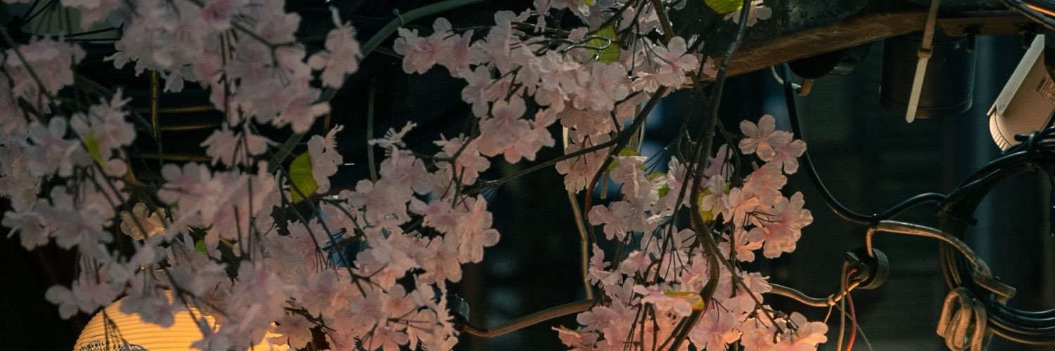 realwenwei's profile banner image