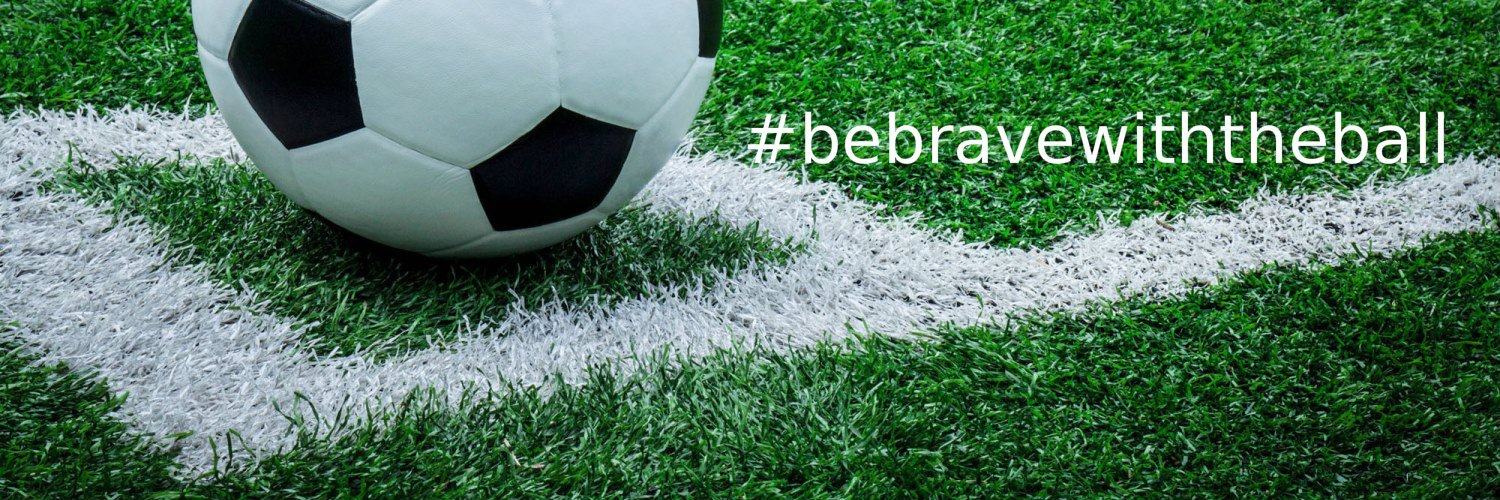 Northern Virginia SC banner