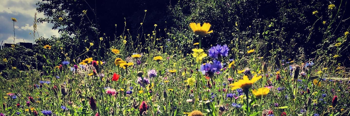 AddiscombeRWPFriends banner