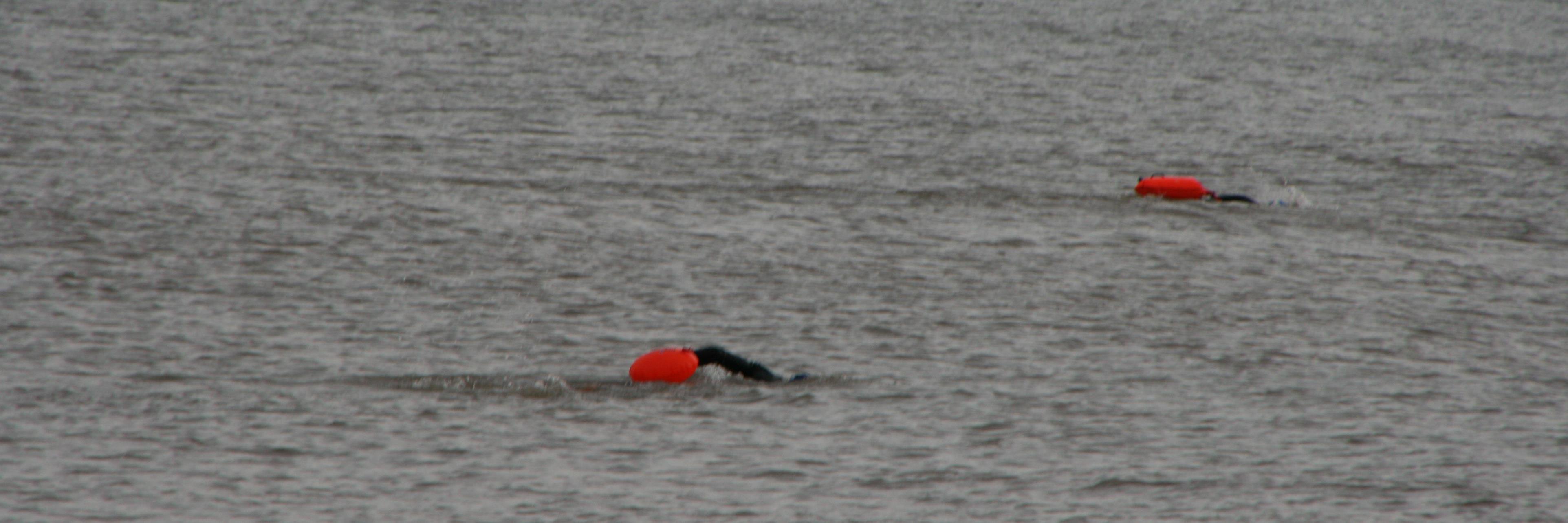 Eileen Murphy banner