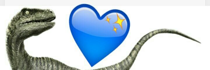 _teendivision_'s profile banner image