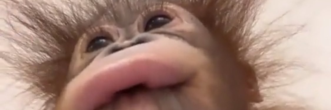 k3lzz___'s profile banner image