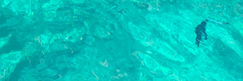 Zozi47's profile banner image