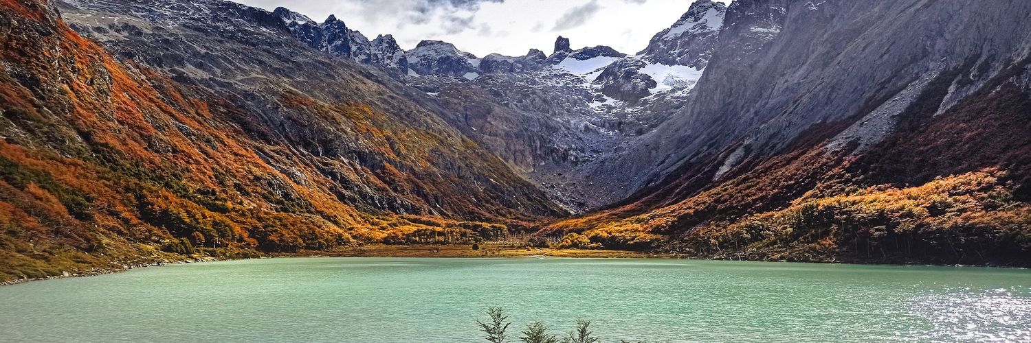 Daniel Weisswein banner