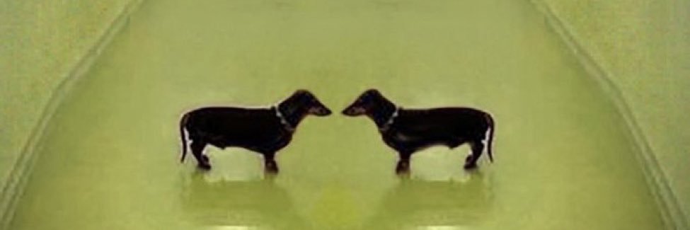 simogtb's profile banner image