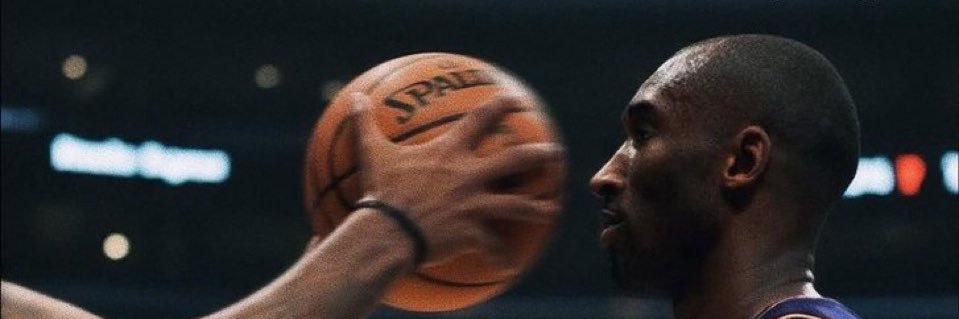 E.🦈 banner