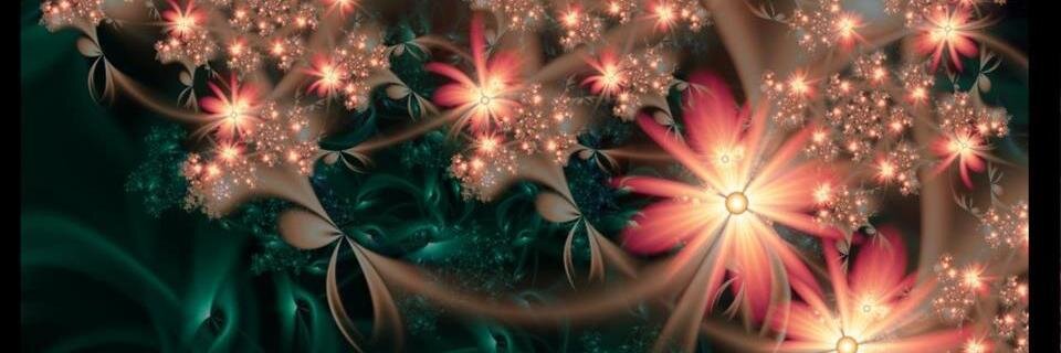 steffie8511's profile banner image
