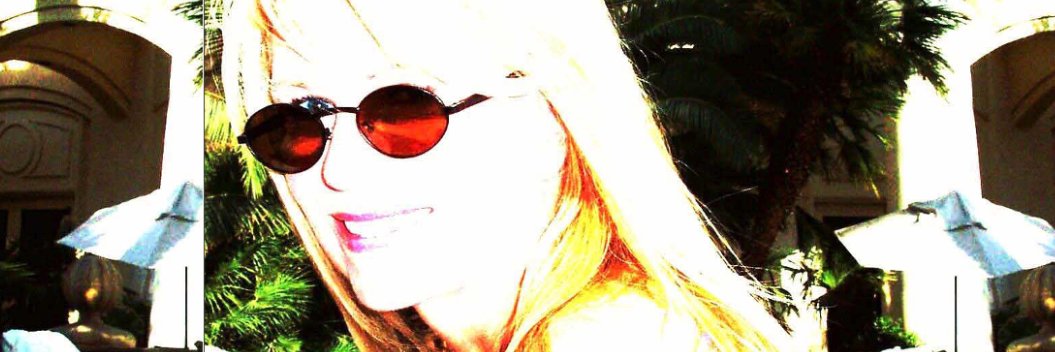 Judee Flick banner
