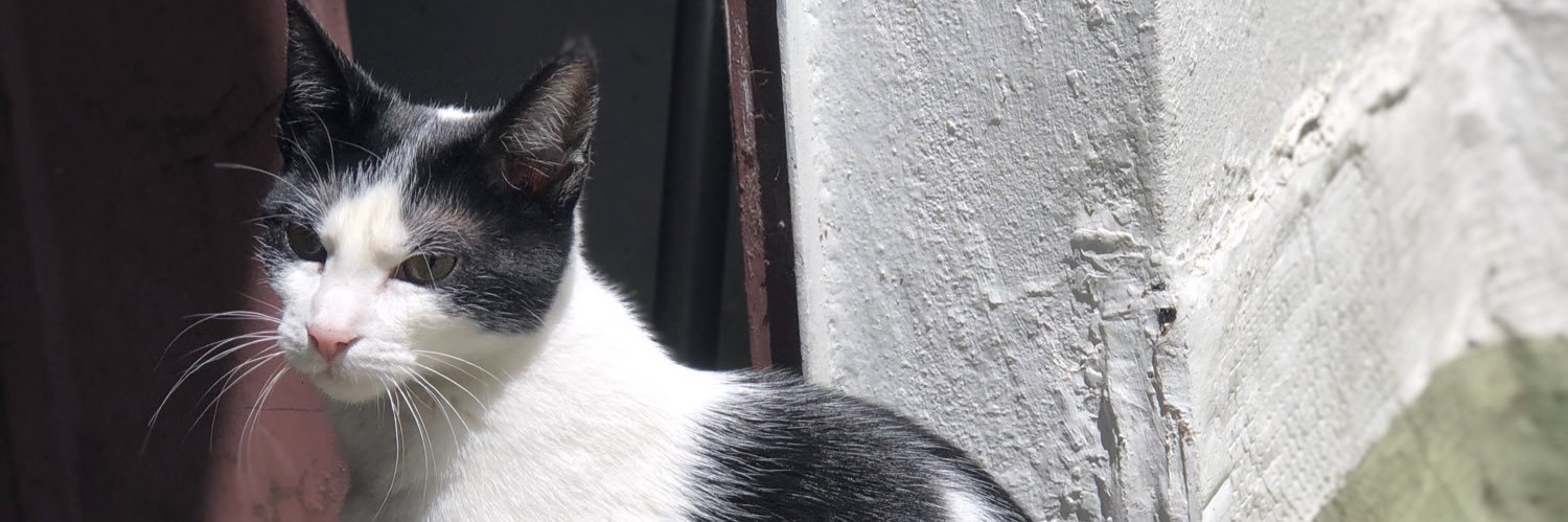 marturf_'s profile banner image