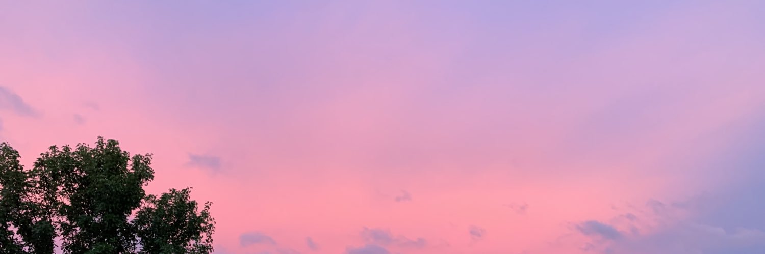 Sarahvicari00's profile banner image