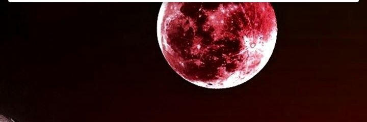 jessez117's profile banner image