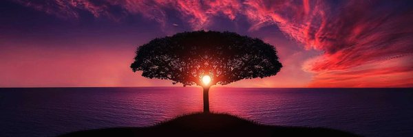Tekenjoy63 Profile Banner