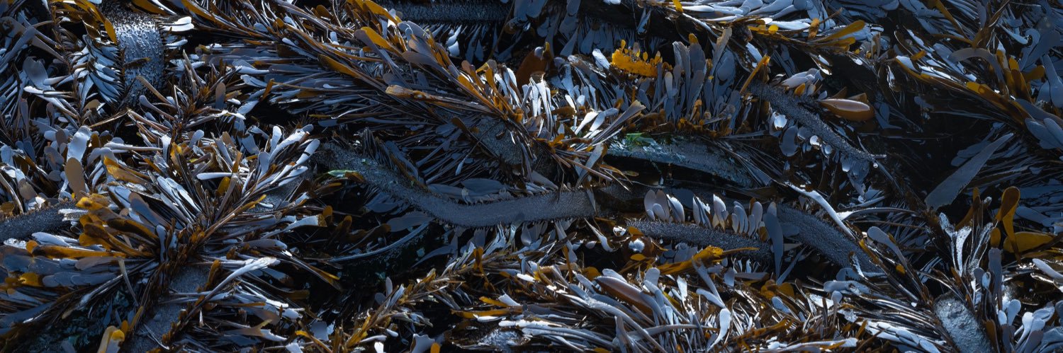 ethghill's profile banner image