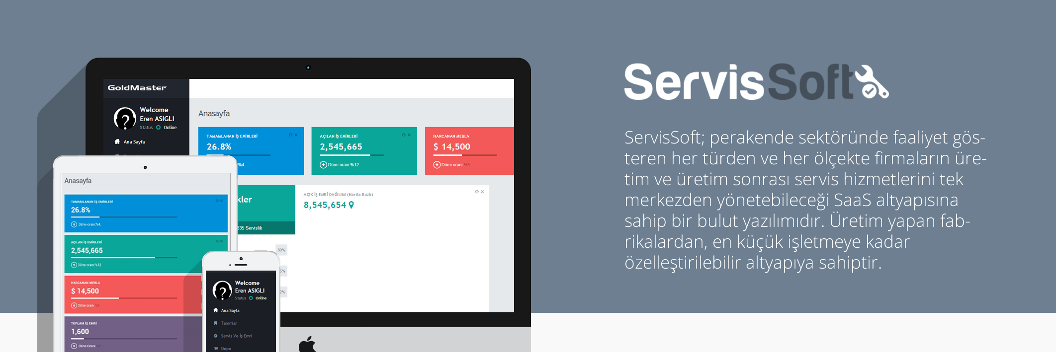 ServisSoft banner