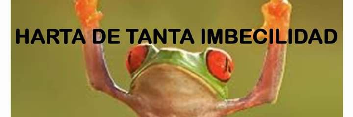 MecheFabregues's profile banner image