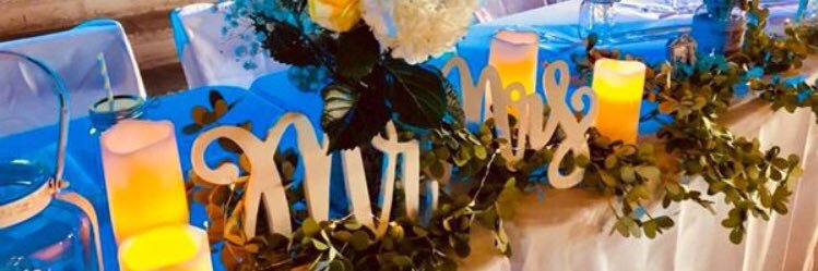 Katie Lynn Scoggins banner