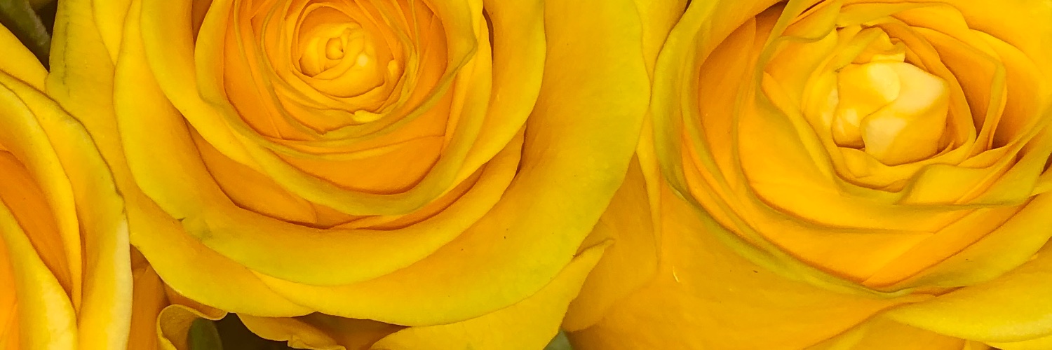 taycrenshaw's profile banner image