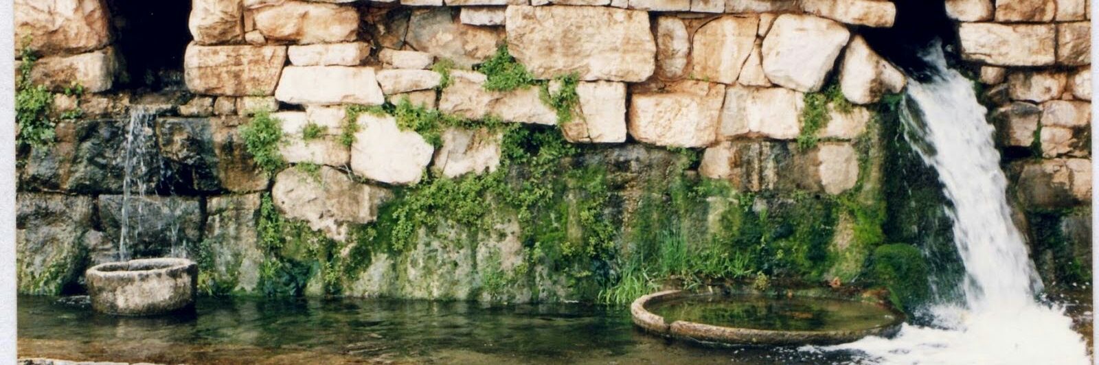 CostasNiarchos's profile banner image