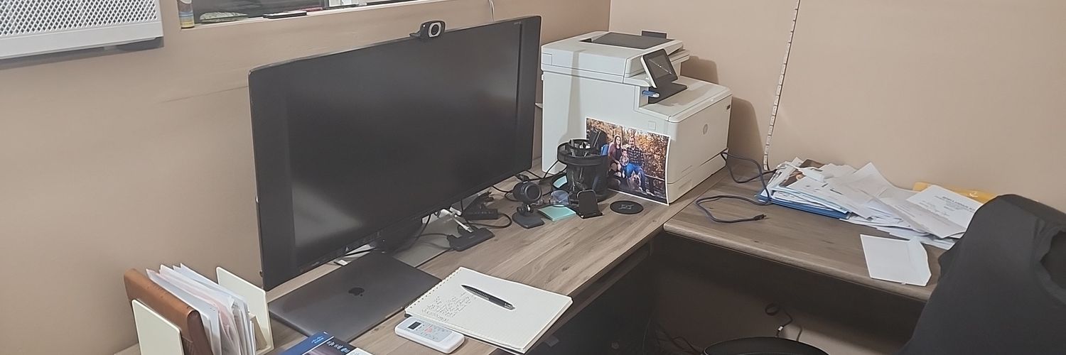 DespoticWolf's profile banner image