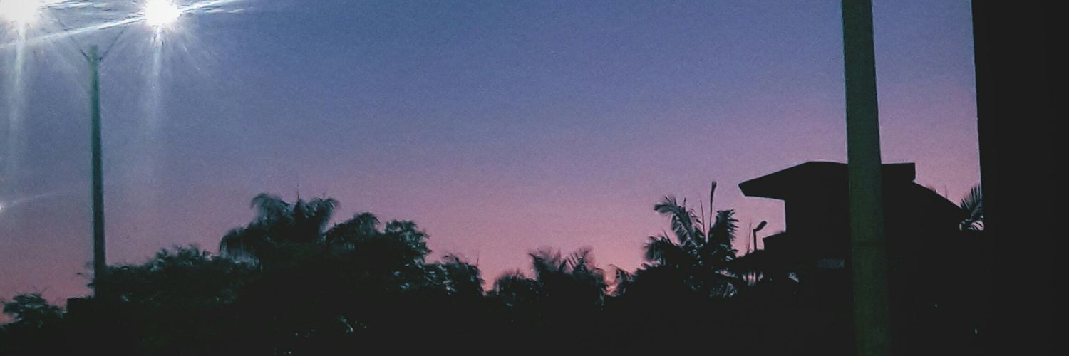 nc_st03's profile banner image