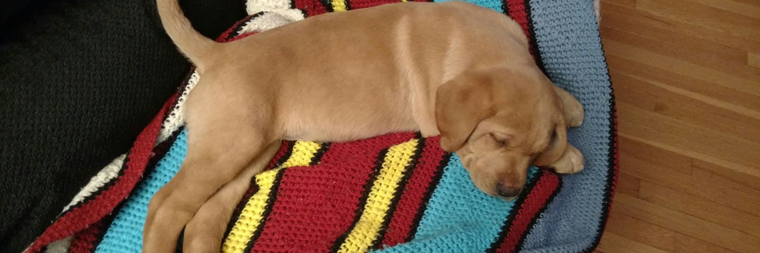 LoneTreeTaxidermy banner